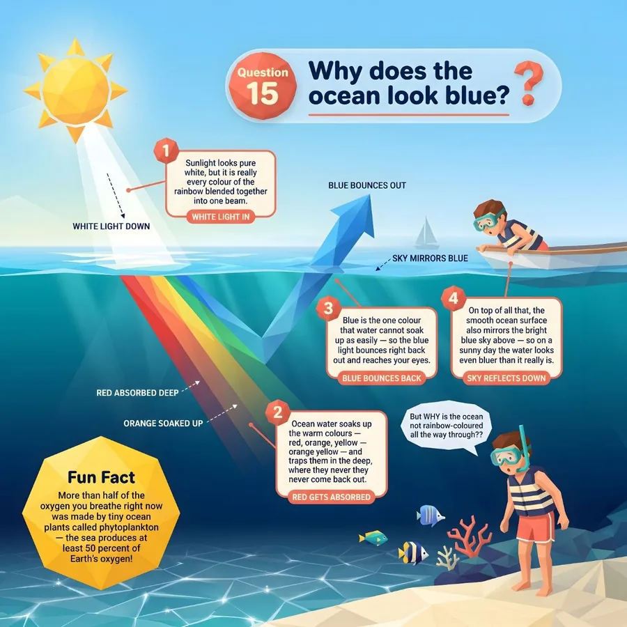 Interior page: Why does the ocean look blue?