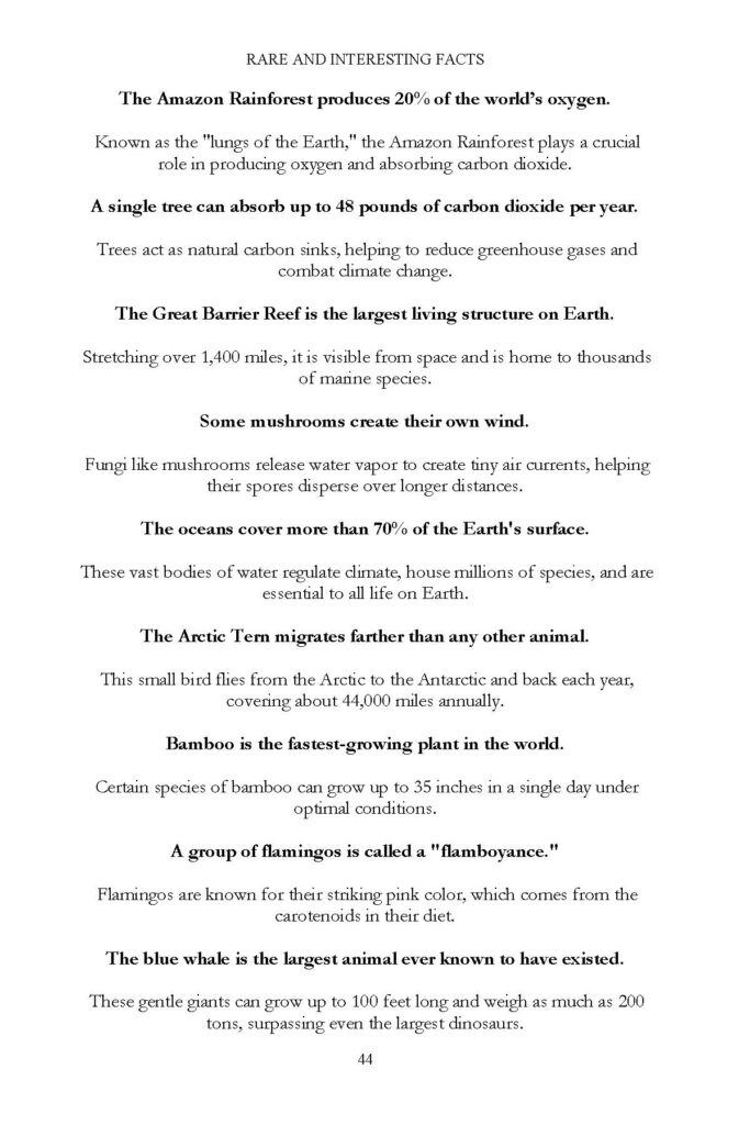 Book page with nature facts about rainforests, reefs, bamboo, and flamingos