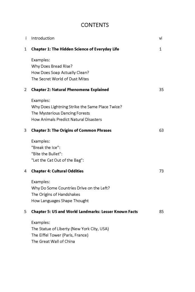 Table of contents listing five chapters with example topics