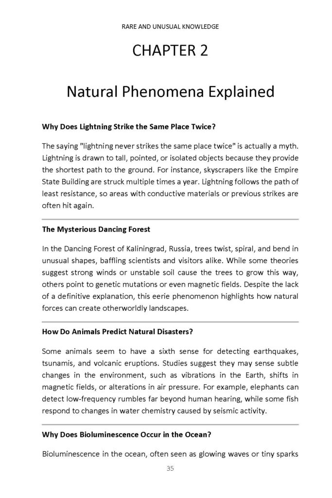 Chapter page about lightning strikes, dancing forest, animal predictions, and bioluminescence